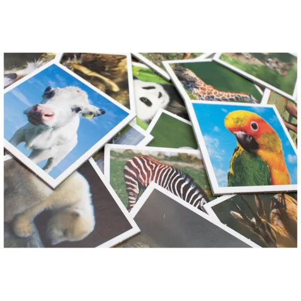 Animal babies mémo - mémoire et déduction - contenu de la boite